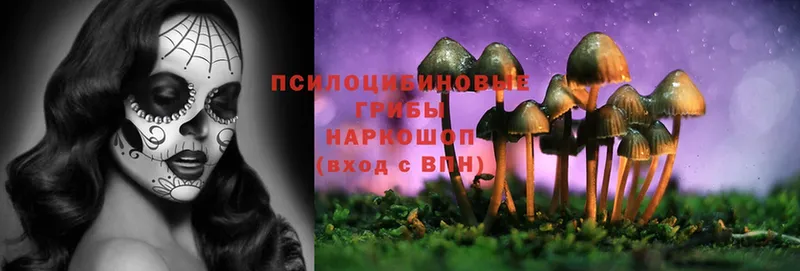 Псилоцибиновые грибы Magic Shrooms  Сортавала 